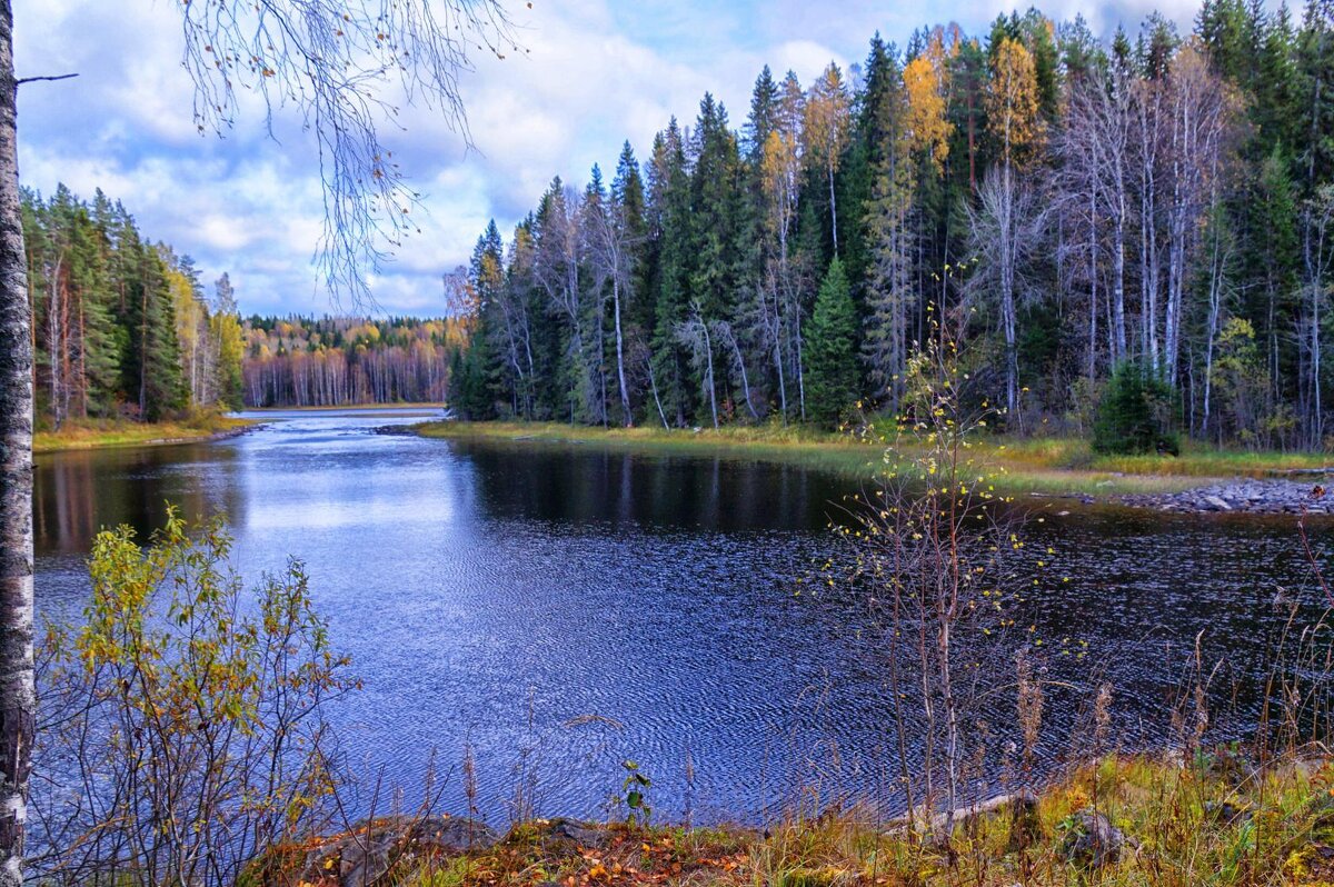 река  Янис - Ольга Cоломатина