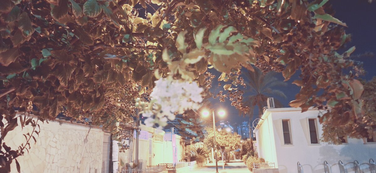 13  ОПЕН (182) - OPEN WAYS ALL