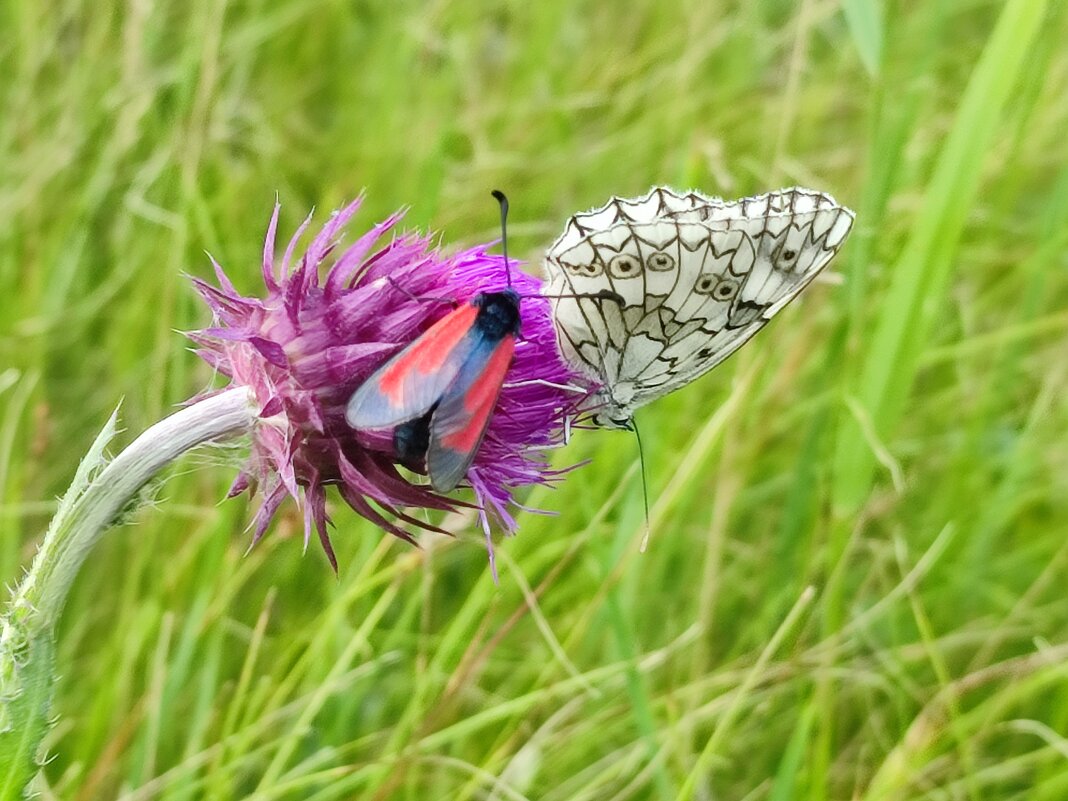 Ветерок, а мы танцуем - Валентина Богатко 