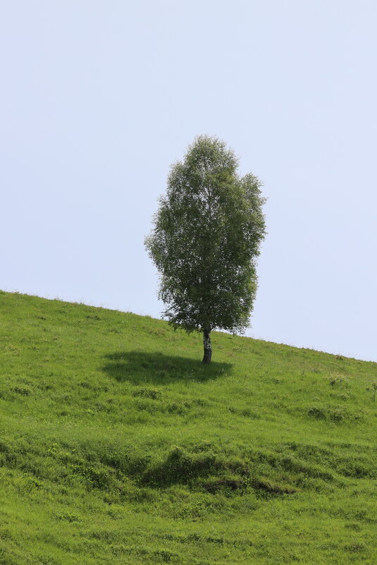 Одиночество. - Александр Кондаков Одиночество. - Александр Кондаков