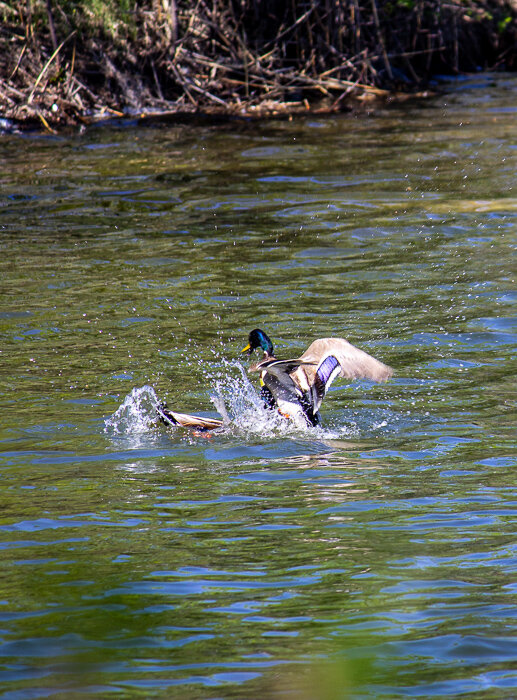 Разминка - Светлана SvetNika17 Разминка - Светлана SvetNika17
