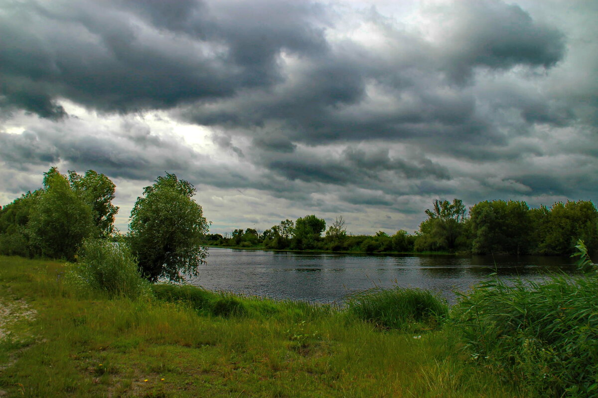 ... - Елена Пономарева