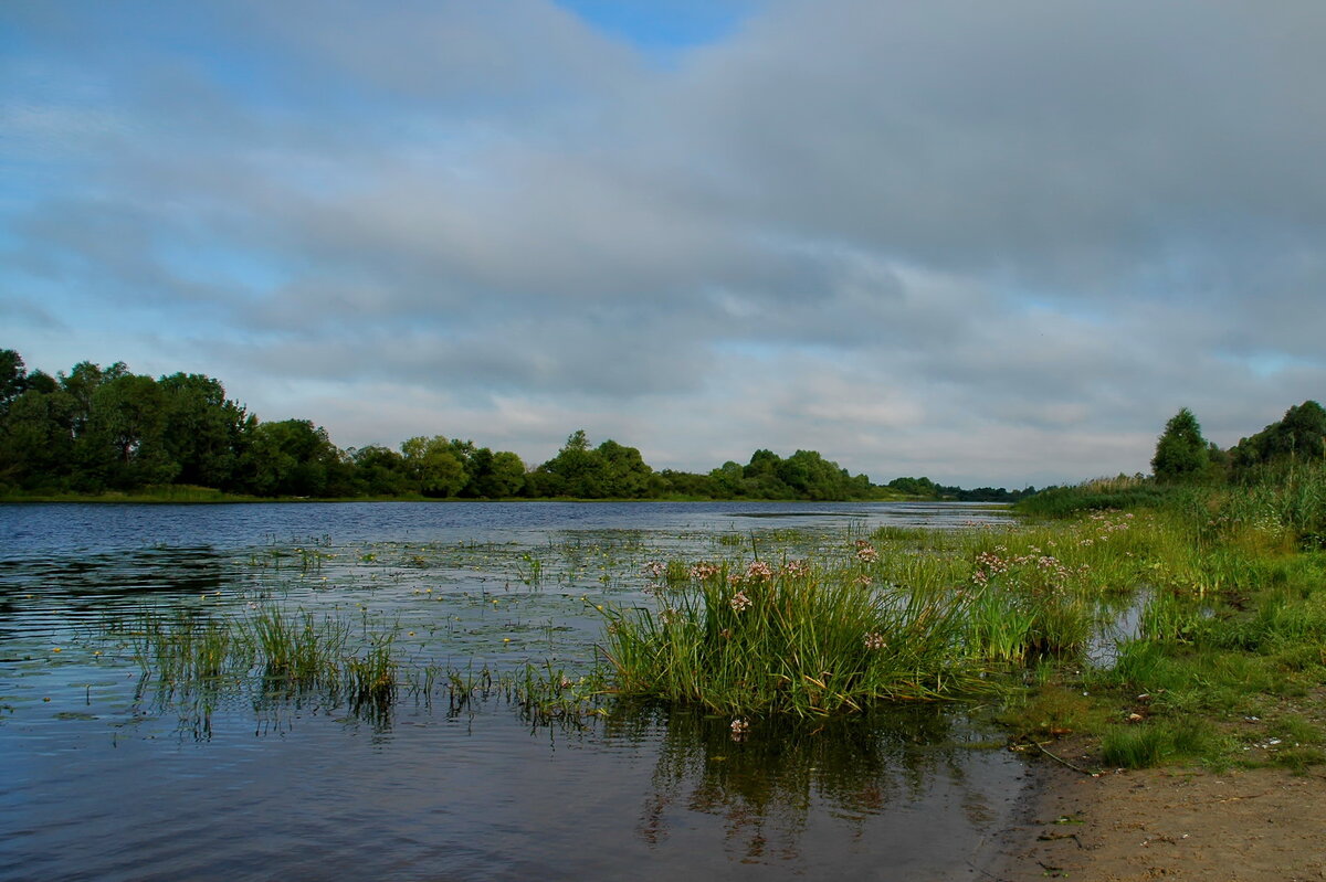 ... - Елена Пономарева