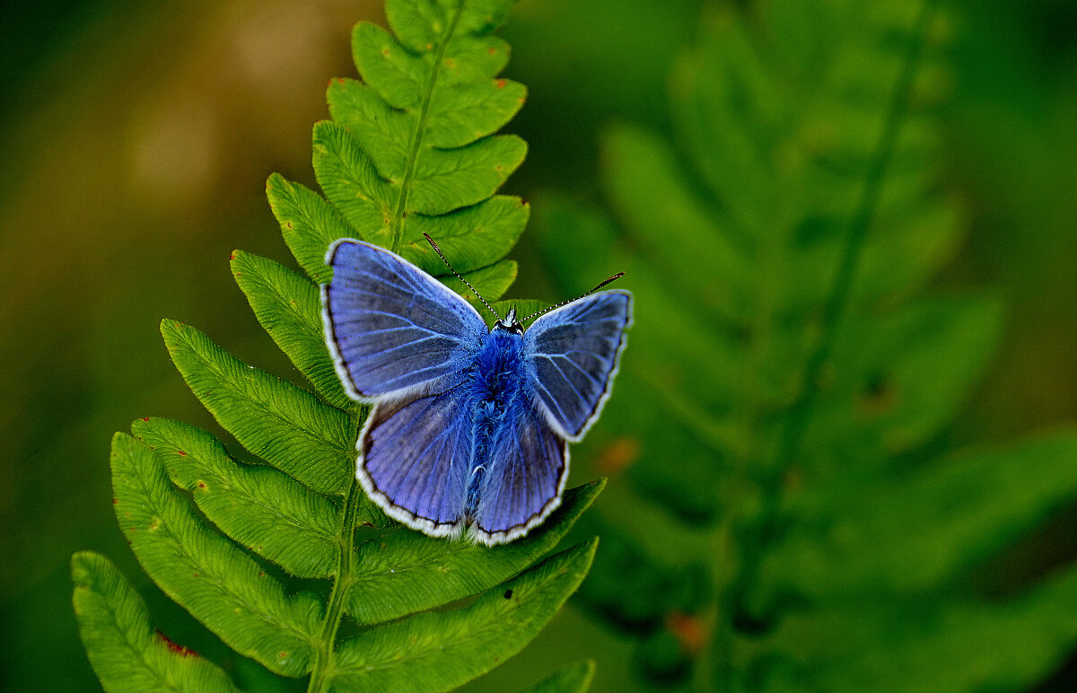 из снятого вчера 4 - Александр Прокудин