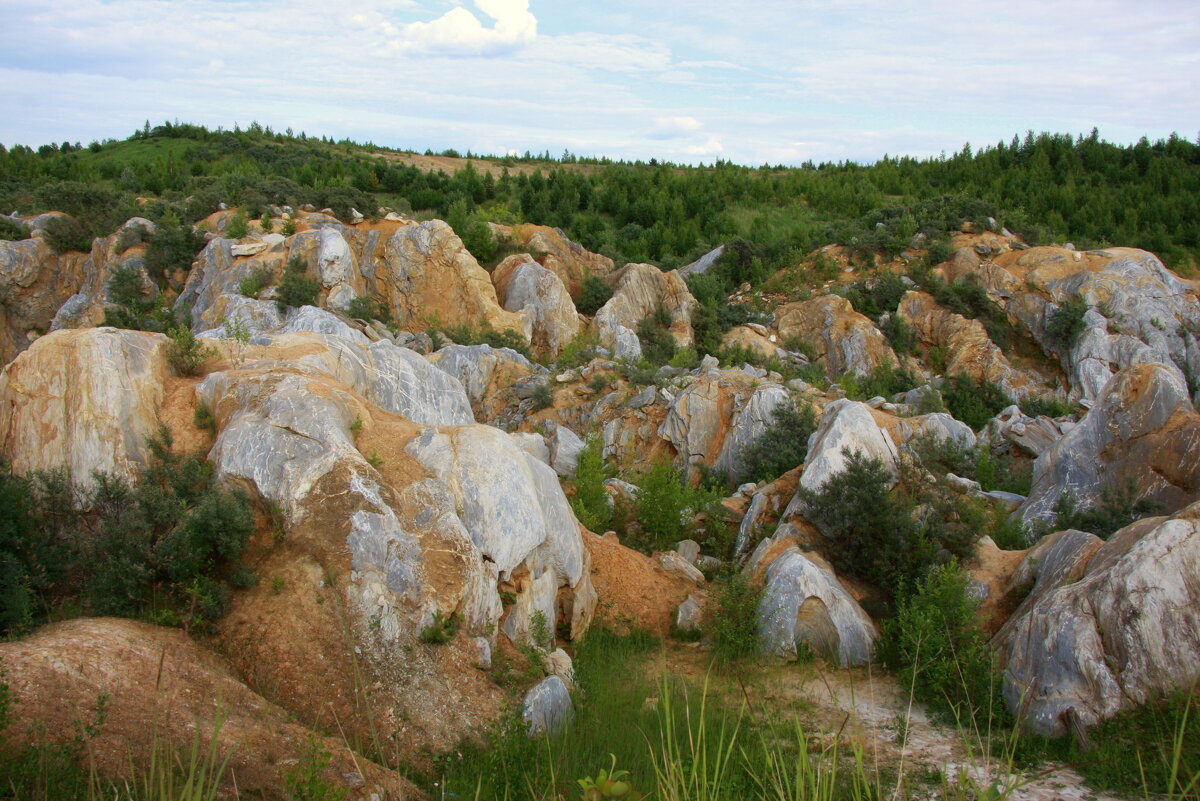 Золотое ущелье - Нэля Лысенко
