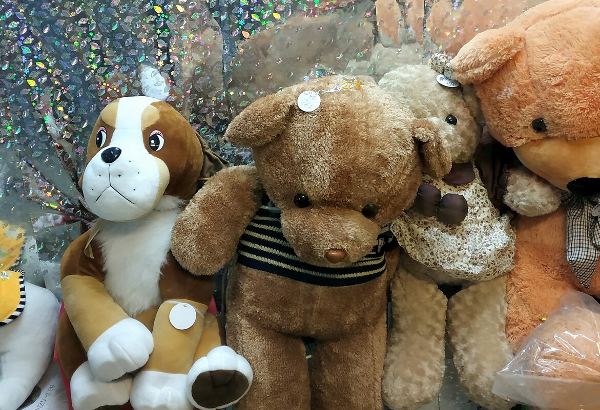 пёс явно что то задумал - Осень 