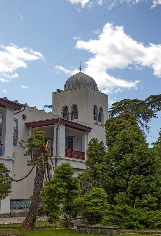 Дюльбер - Светлана Тихонина