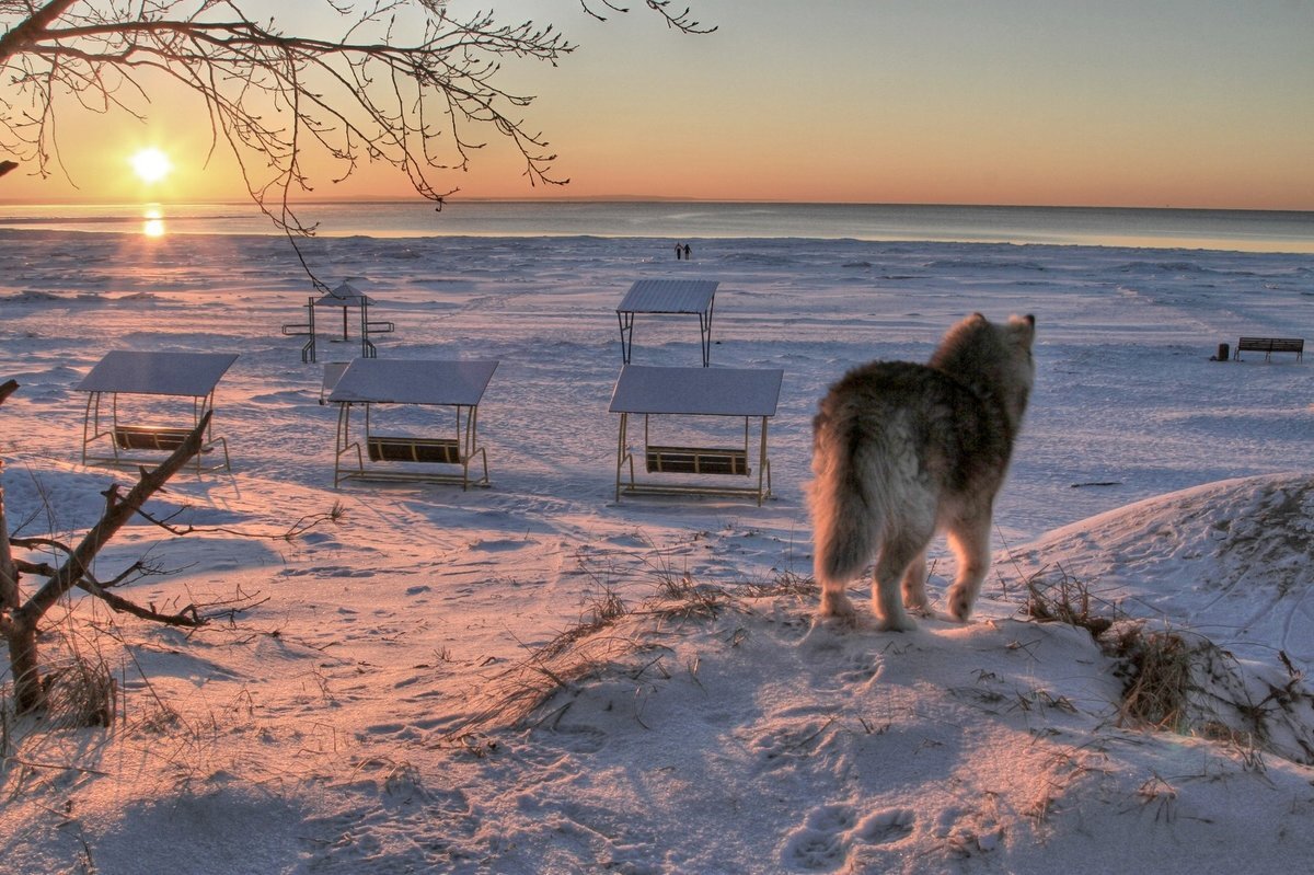 Зима ) - Cергей Кочнев Зима ) - Cергей Кочнев