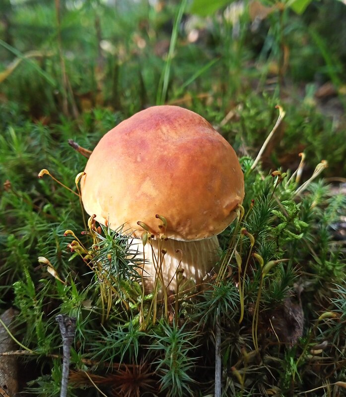 Малыш. - Ирина *