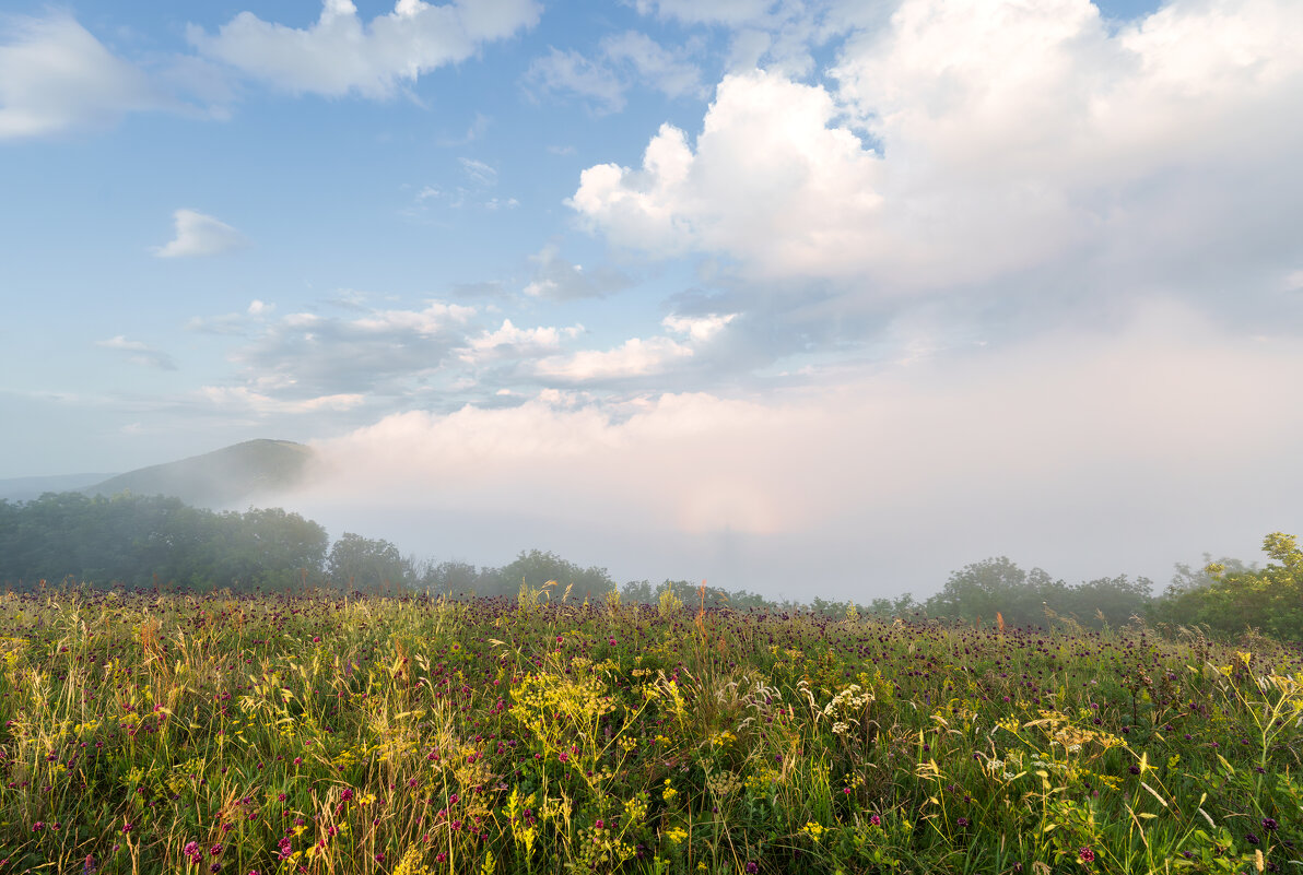 После дождя - daimos 