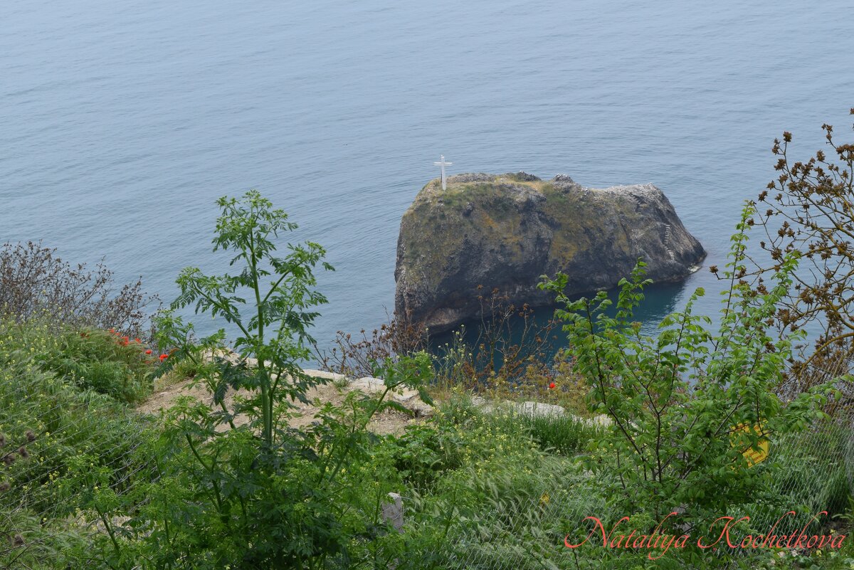 Природа Крыма - Amazing Cosmea Природа Крыма - Amazing Cosmea