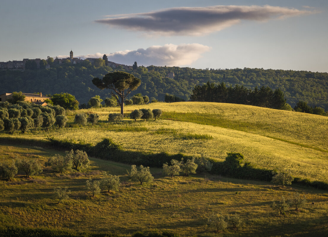 Вечерний свет - Алекс Римский