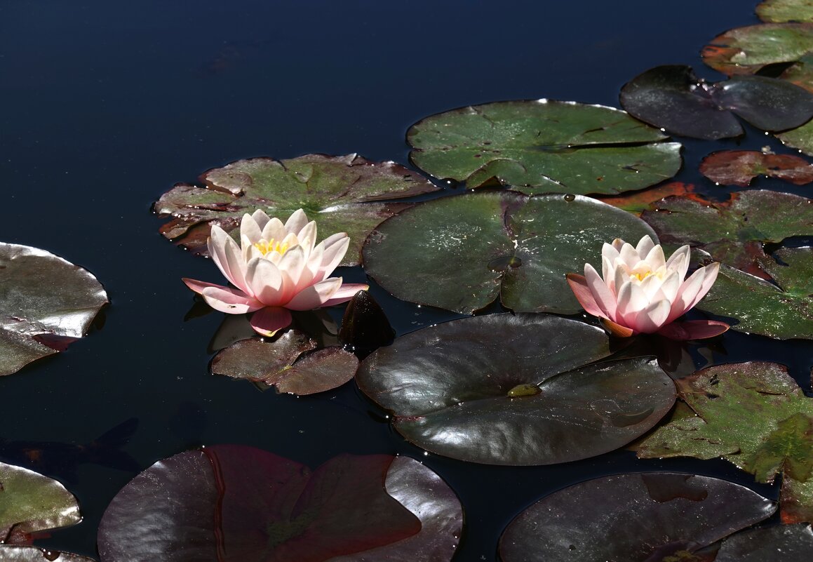 ... - Галина ... - Галина