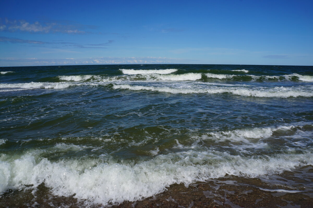 ~~~~~~ - Алёна Савина