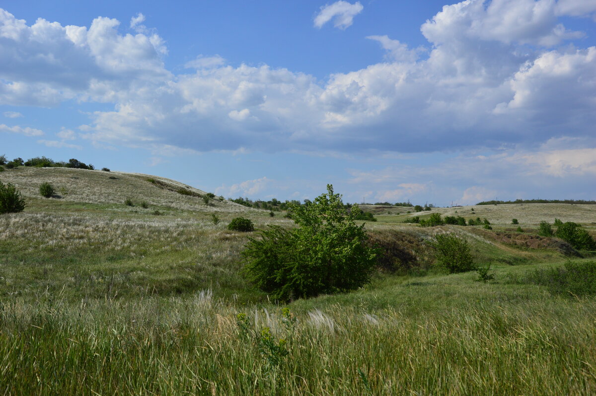 Донские виды. - Виктор 