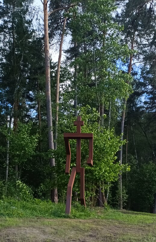 .«Человек бегущий» Игоря Шелковского - Галина R...