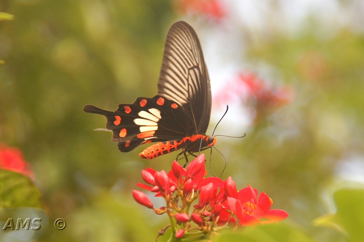 Чудо ! - kolyeretka Чудо ! - kolyeretka