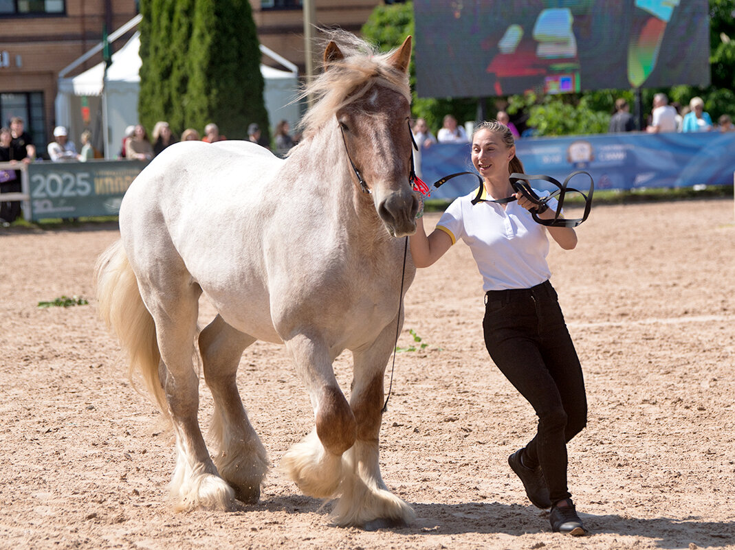 Парад пород - Алексей Смирнов