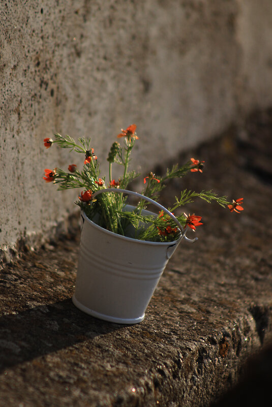 *** - Яна Горбунова