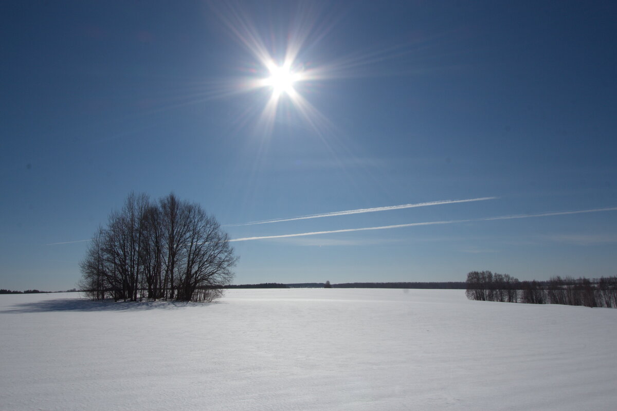 Звезда по имени Солнце! - Михаил Колосов 