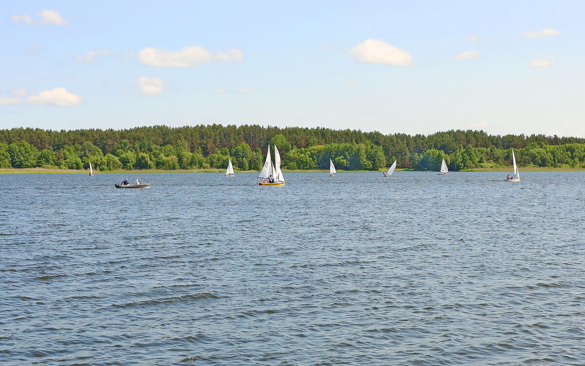 Браславские озера. озеро "Дривяты" - Борис 