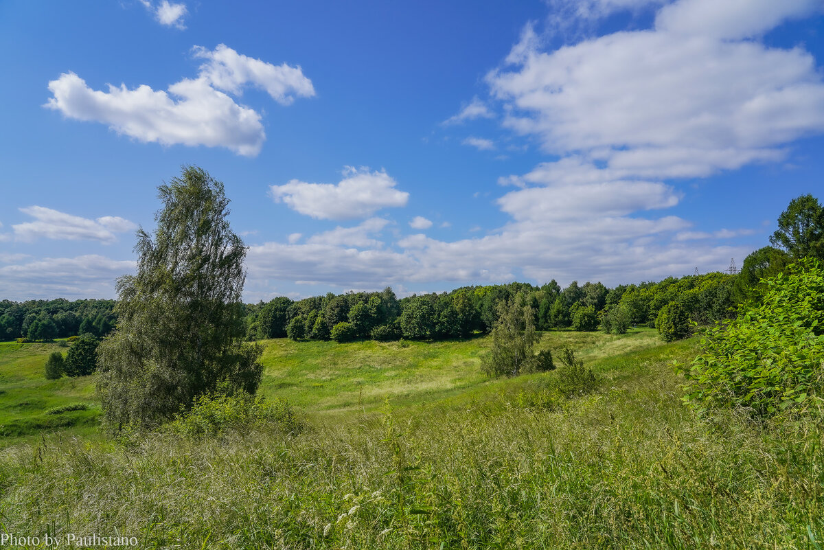 Под небом июня... - Владимир Жданов