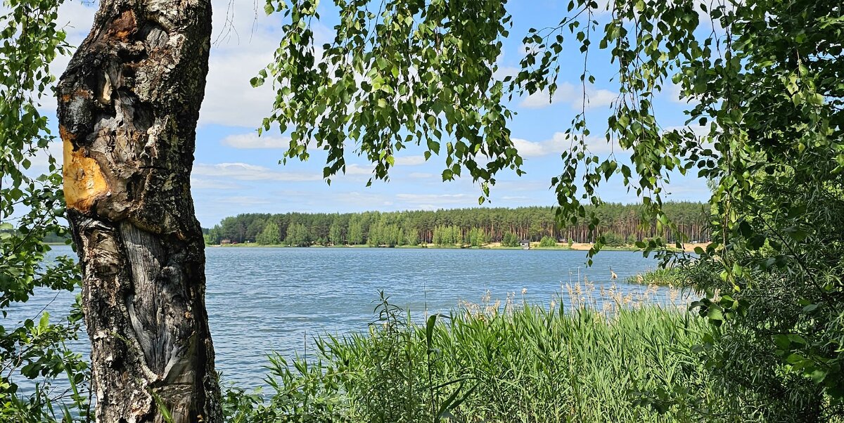 ЯрБайкал - Михаил Свиденцов