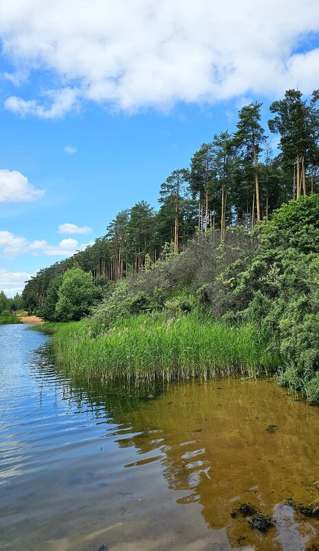 ЯрБайкал - Михаил Свиденцов