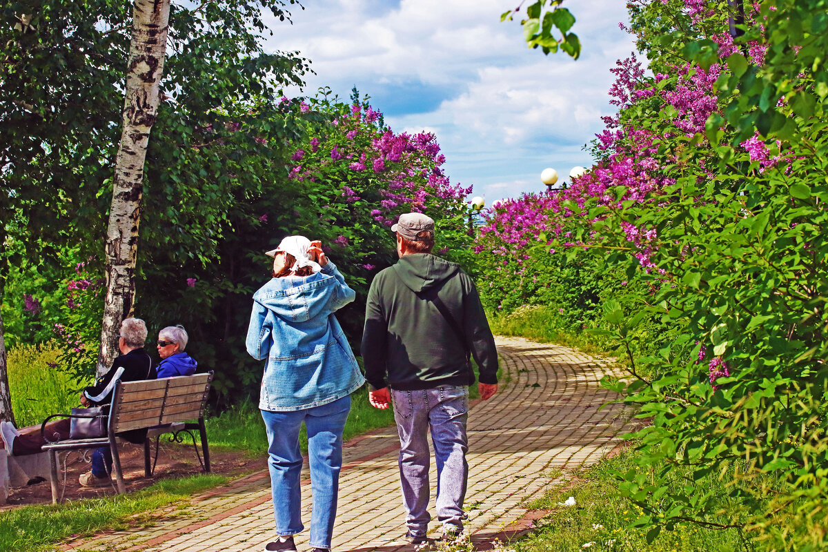 Июнь...По сиреневой аллее! - Владимир 