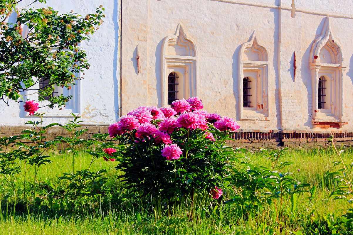 Летний день - Сергей Кочнев