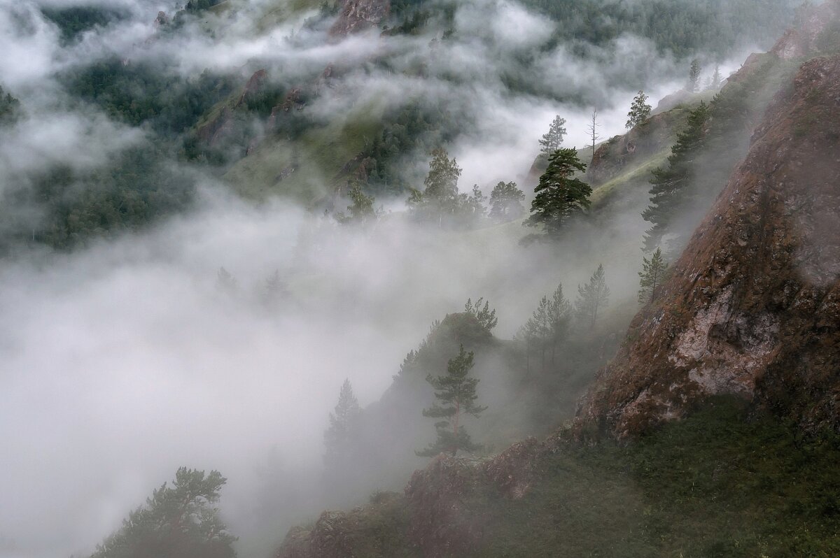 После дождя - Марина Фомина.