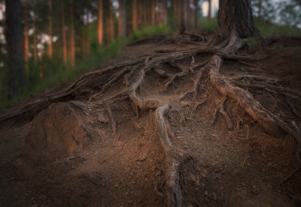 * - Александр Иванов