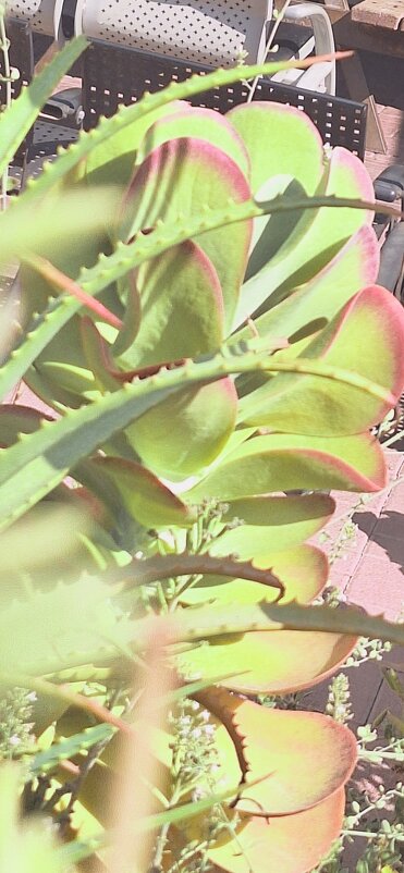 13  ОПЕН (192) - OPEN WAYS ALL