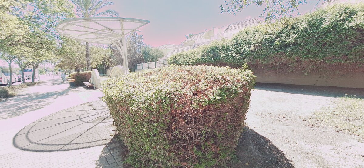 13  ОПЕН (195) - OPEN WAYS ALL