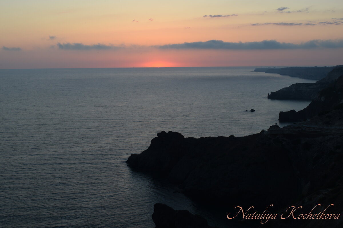 Природа Крыма - Amazing Cosmea