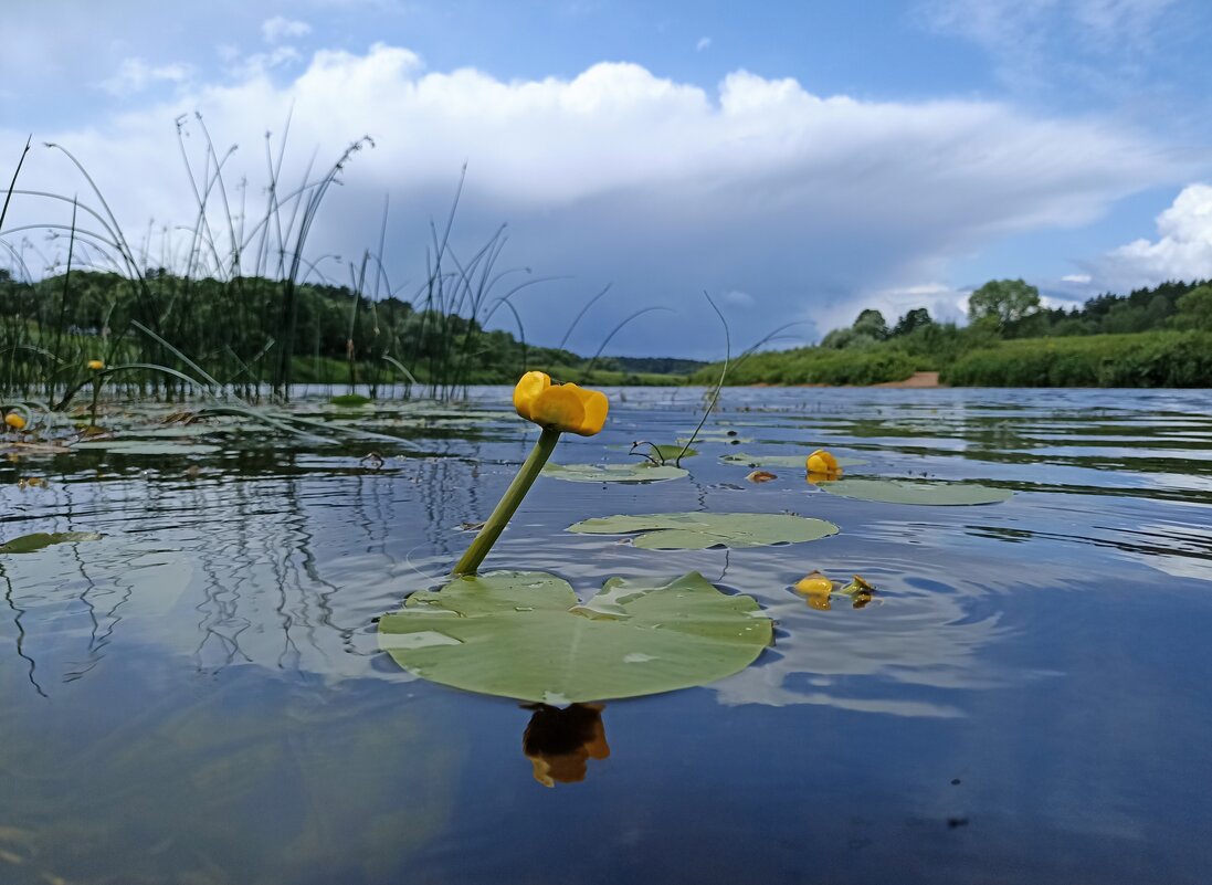 Река Угра - Pippa 