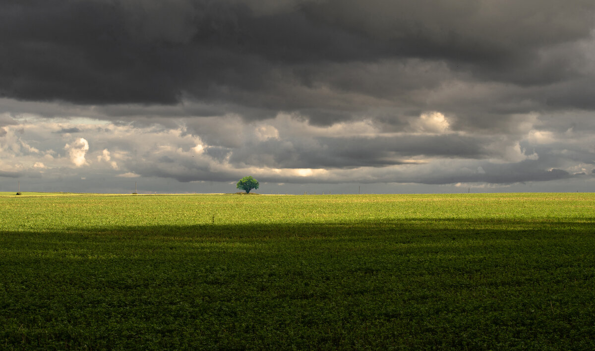 Между небом и землей - Александр Ковальчук Между небом и землей - Александр Ковальчук