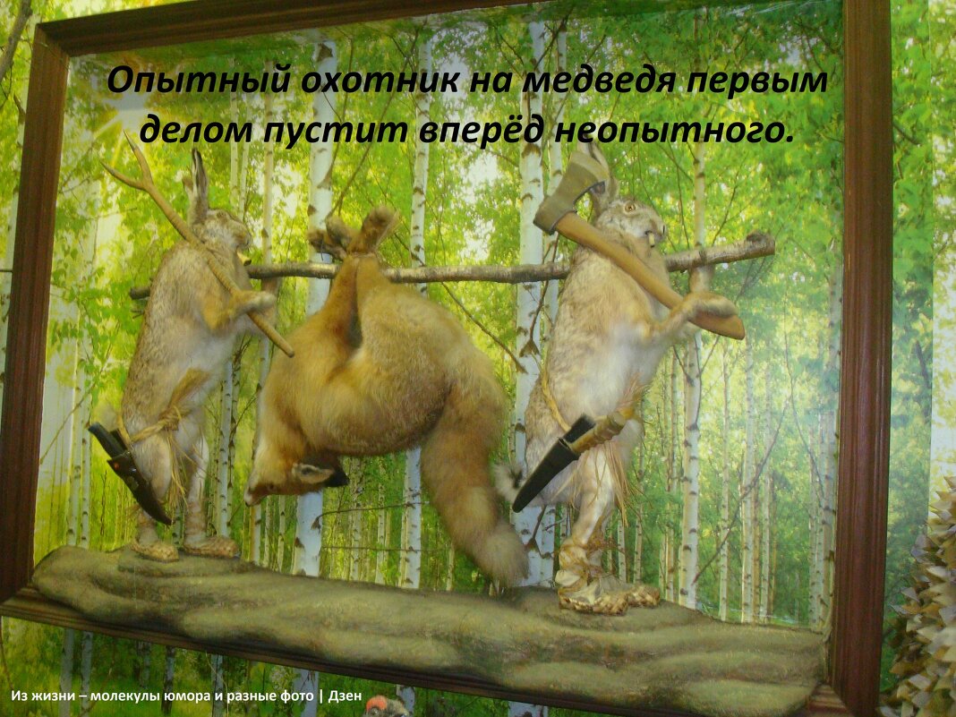 Охотнички - svk *