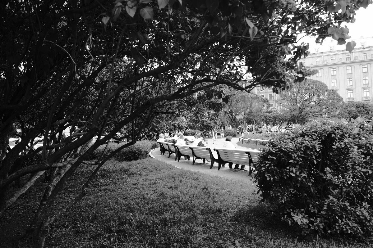 /// - Виктор Никитенко