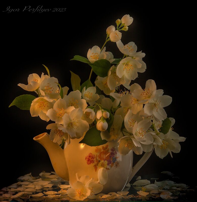 Про чубушник - игорь 