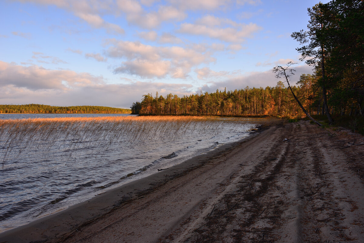 ** - Александр Хаецкий