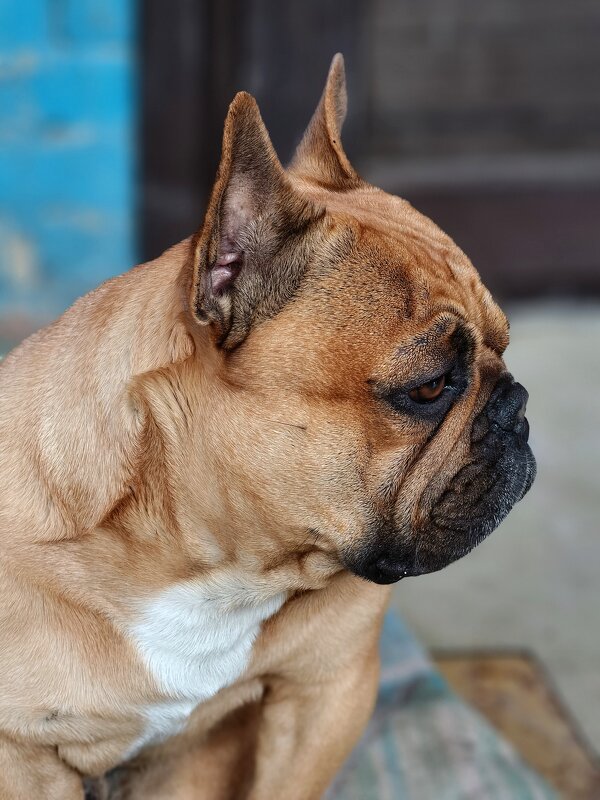 Арчи - Валерий Ткаченко