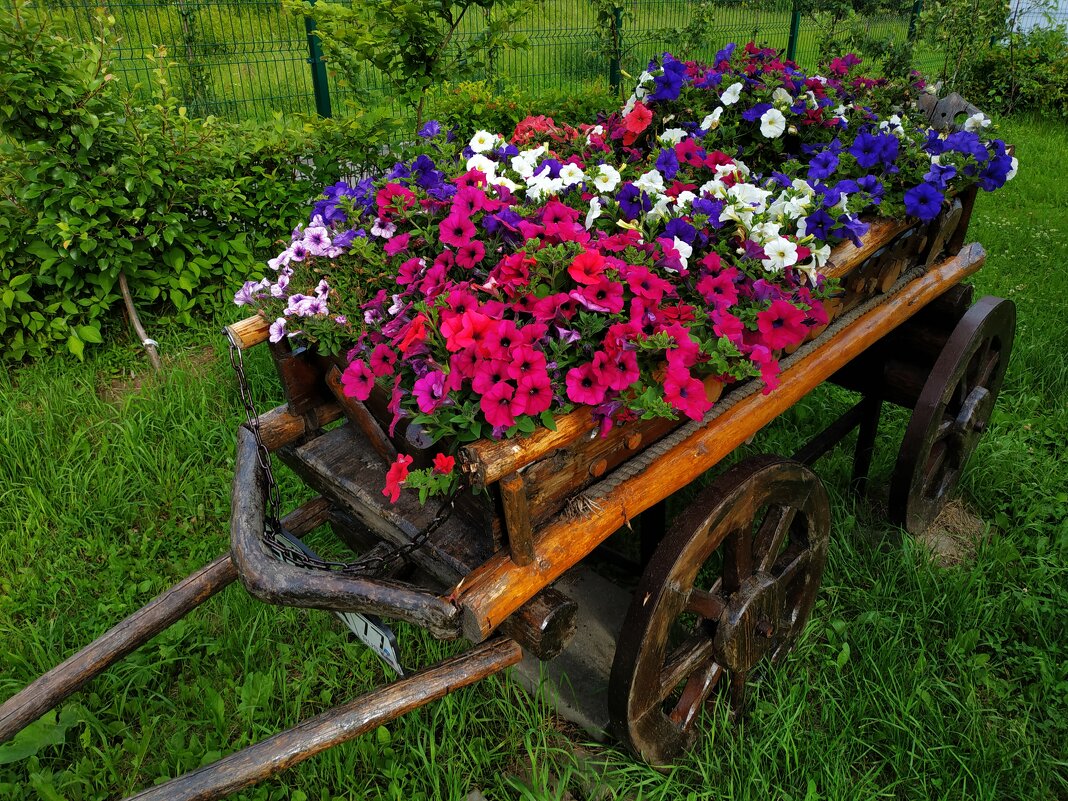 * * * - Андрей Лукьянов * * * - Андрей Лукьянов