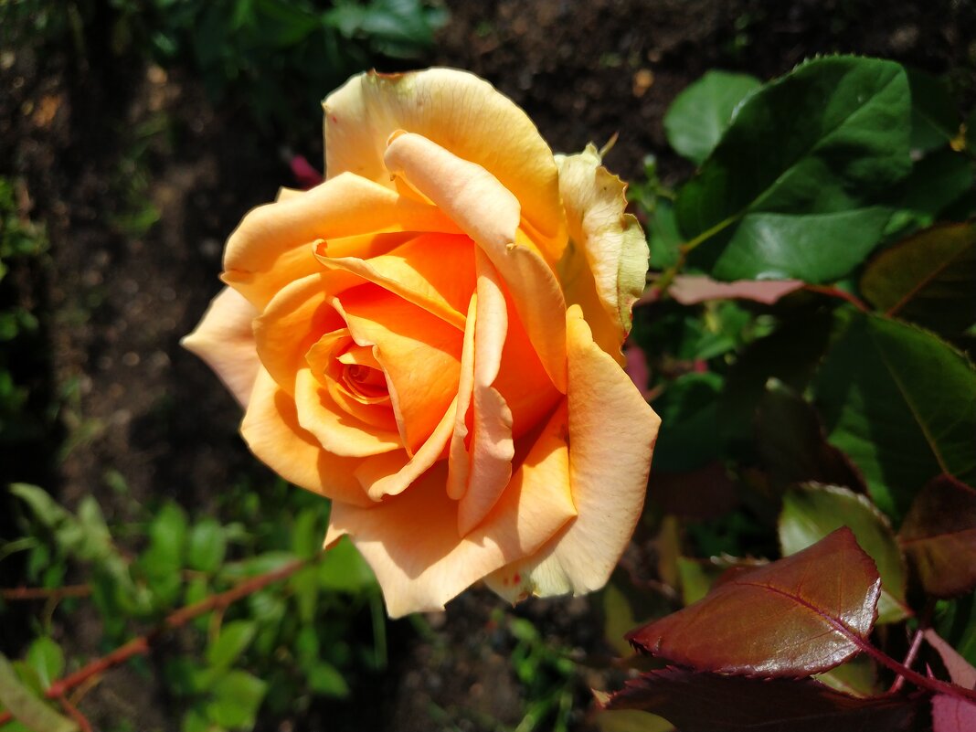 * * * - Андрей Лукьянов