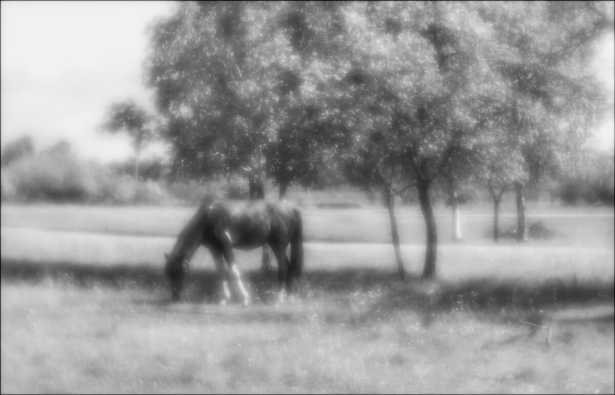 ********** - Владимир Железнов ********** - Владимир Железнов