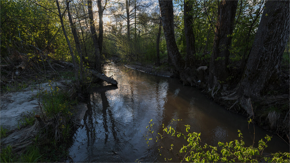 Пять тополей - **** vedin Пять тополей - **** vedin