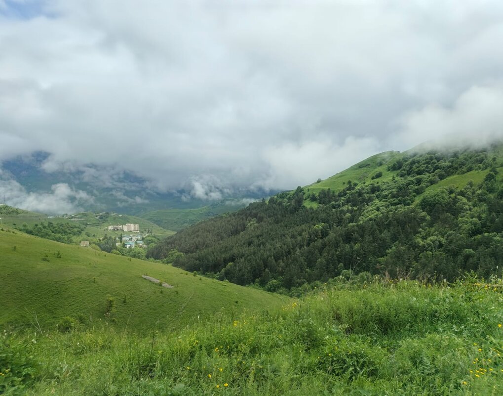 В горах Северной Осетии - Ольга Чистякова В горах Северной Осетии - Ольга Чистякова