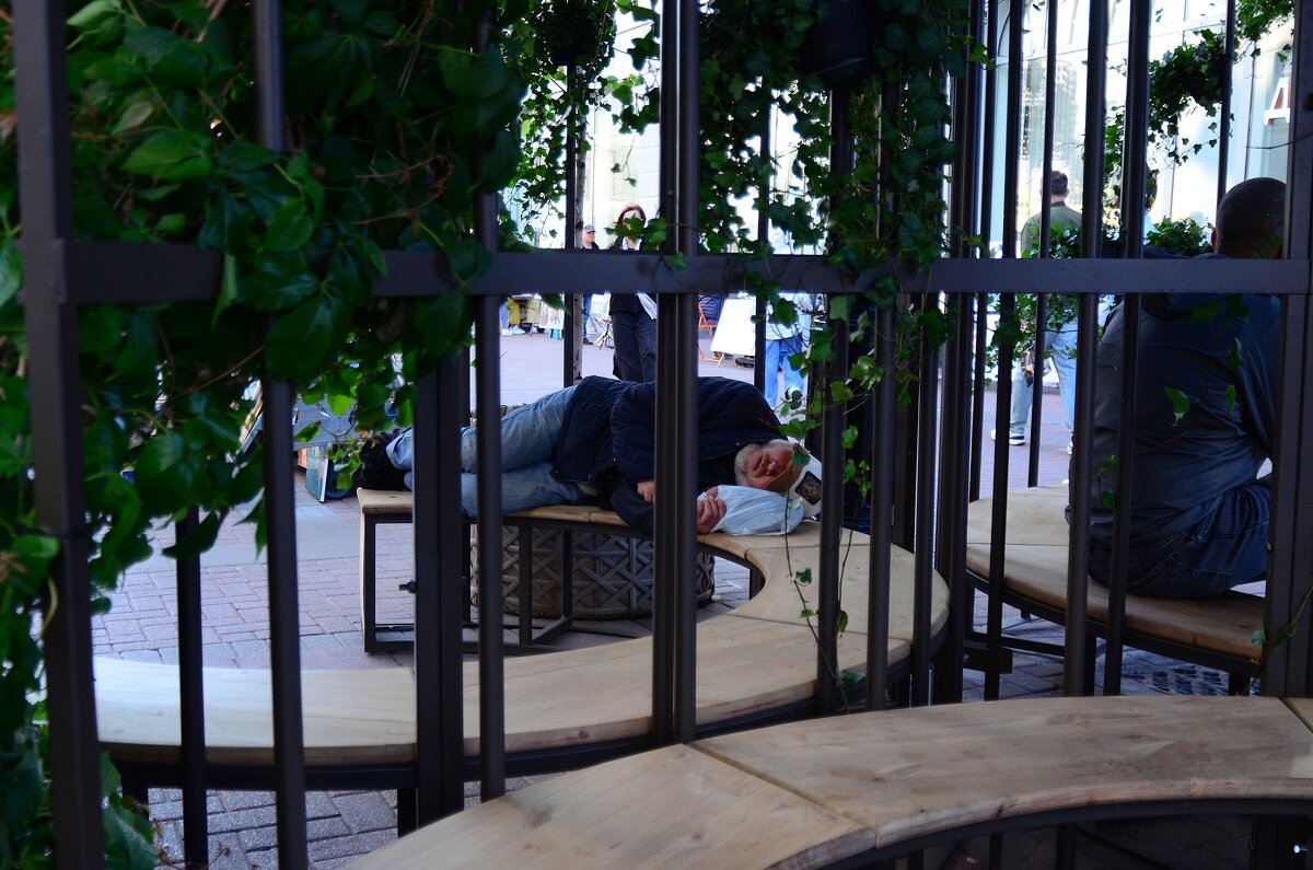 Сладкий сон. - Наталья Вязигина