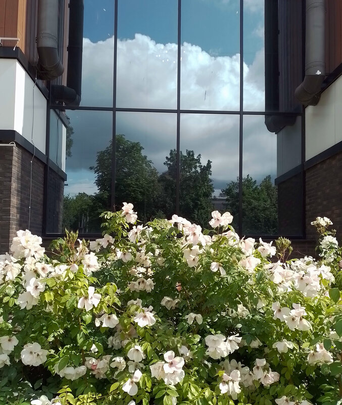 *** - Валентина Береснева