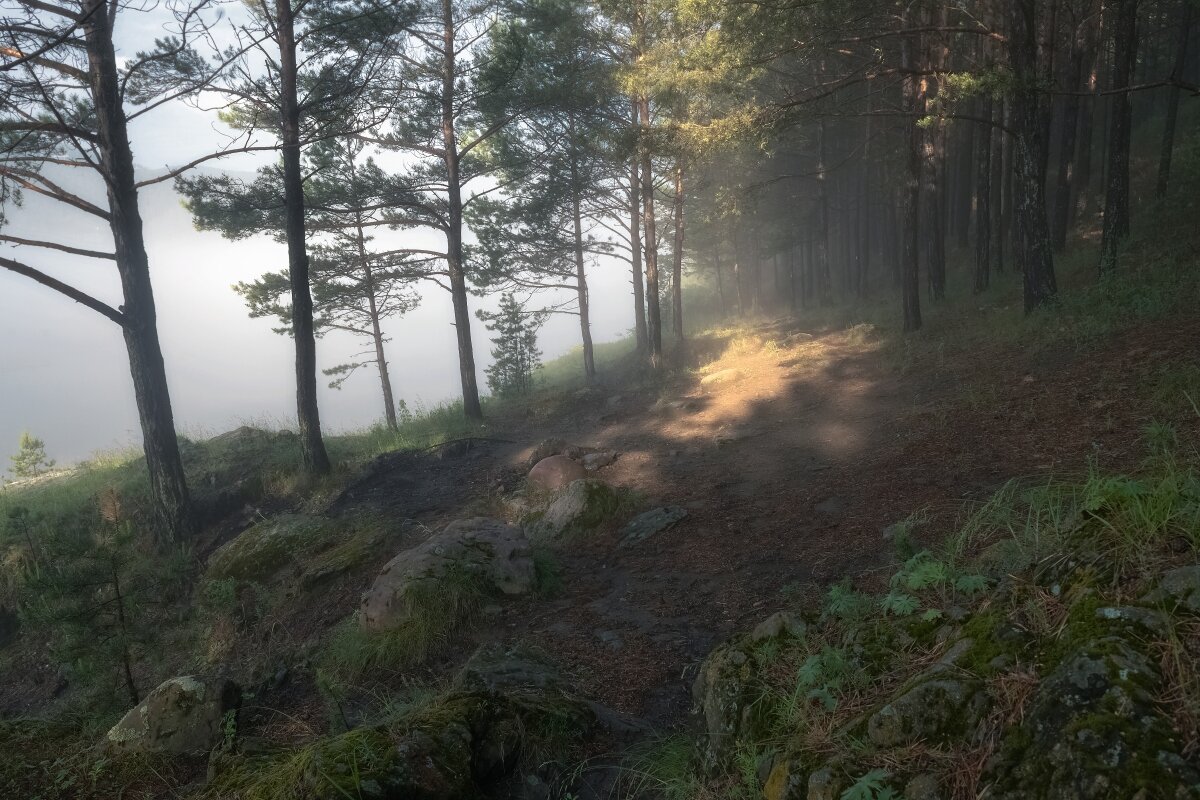 Полоска света - Марина Фомина.